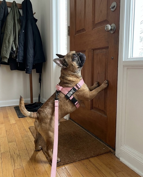 Excited at the door example