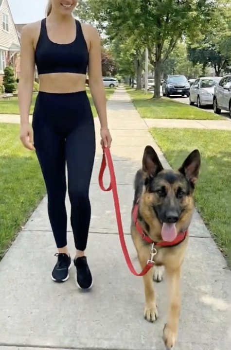 Loose-leash walk example