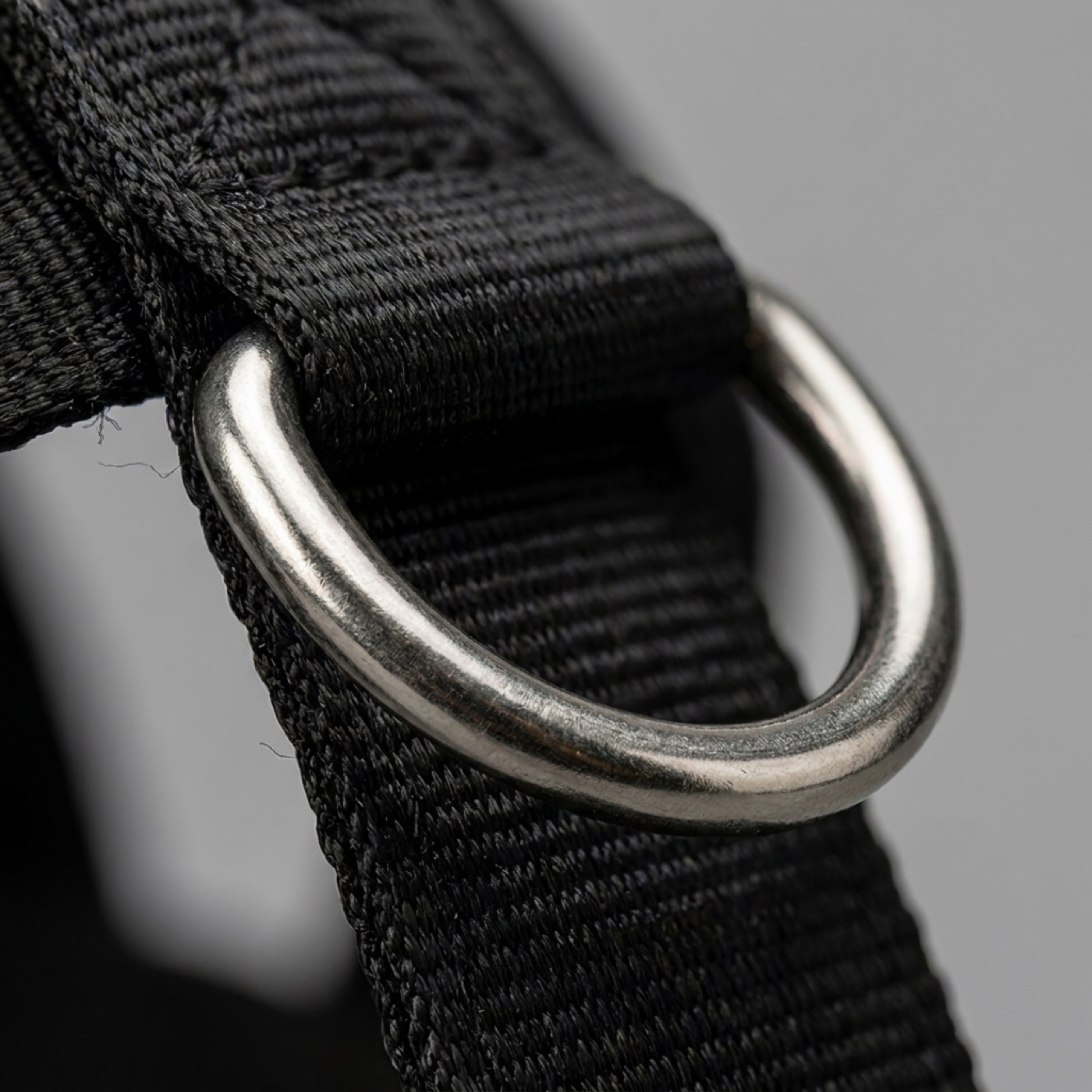 Close-up of the Premium nickel-plated D-ring